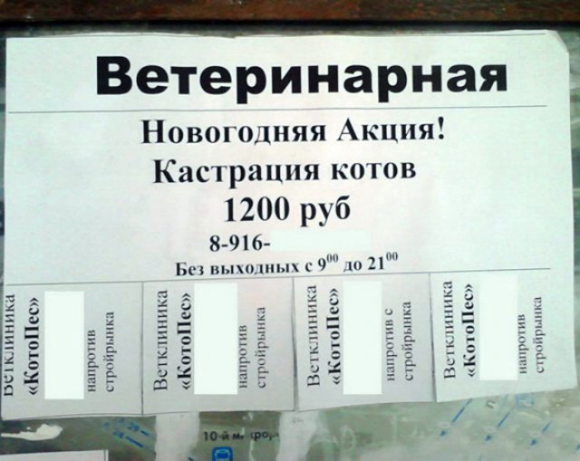 Креативная реклама и курьезные вывески Креативная реклама и курьезные вывески