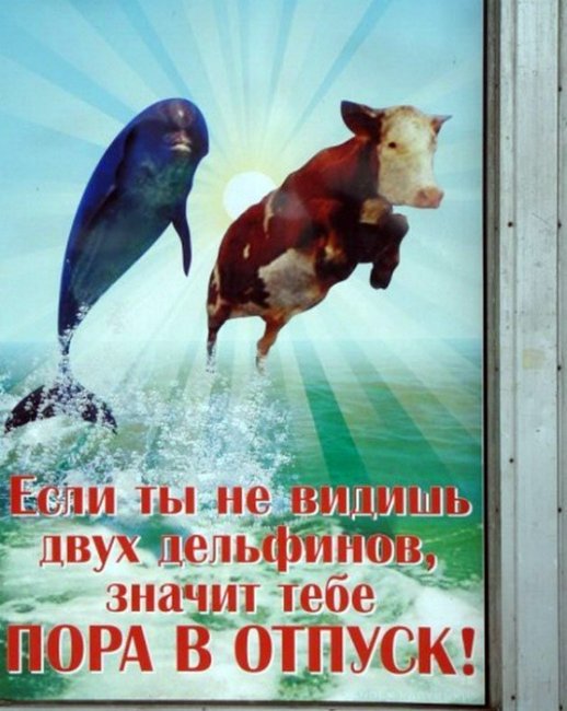 Креативная реклама и курьезные вывески